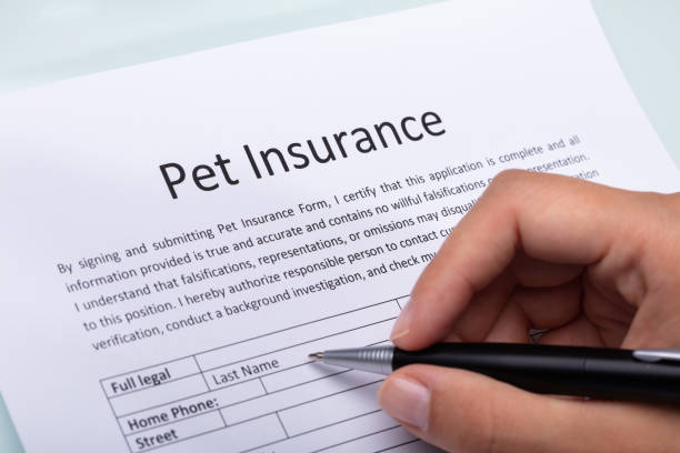 Trupanion Pet Insurance